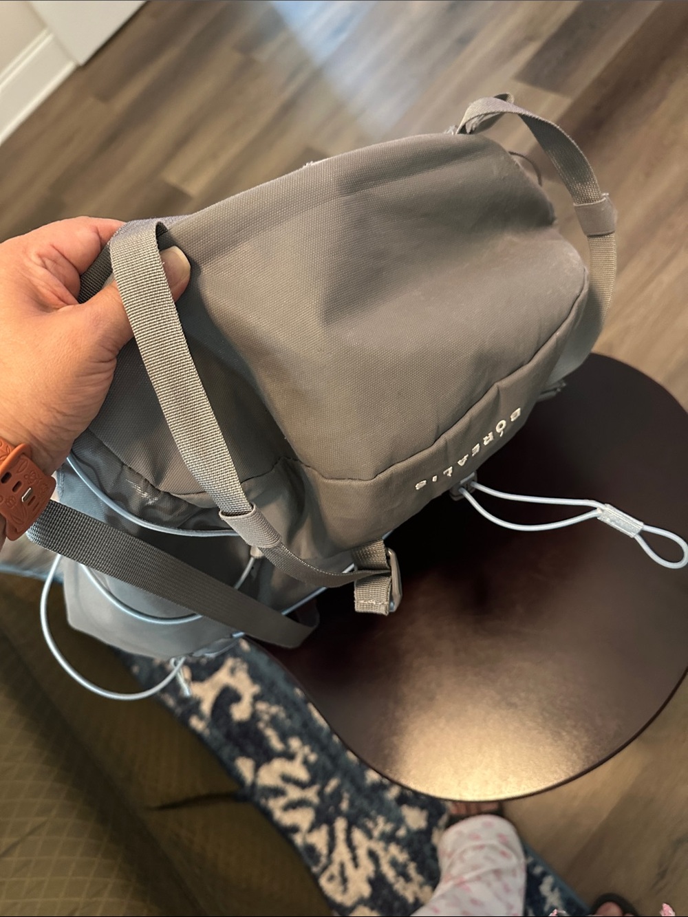 The North Face Gray Backpack with Light Blue Bungee Flexvent - Picture 15 of 17
